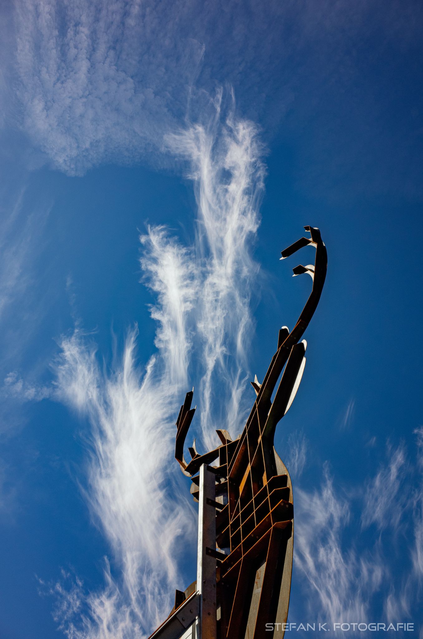 Der größte Hirsch im Wehratal